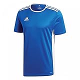 adidas Entrada 18 Jersey, Maglietta Uomo, Blu, 52 - 54