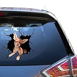 Chiuahaha Decal Chihuahua Adesivi per finestrino auto divertente viso avviso furgone adesivo per marito divertente Vynil decalcomanie auto