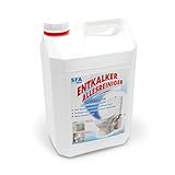 Anticalcare SFA Sanibroy Bidone da 5 L