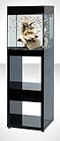 Askoll AA530002 Pure Stand M Absolute Black
