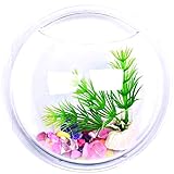 Acquario da muro - da 15 cm - pesci in vetro - vaso - design da parete - piante idroponiche visto in tv - idea regalo originale - ottima qualita