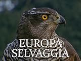 Europa Selvaggia S1