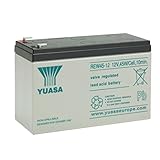 Batteria originale per YUASA REW45-12 originale