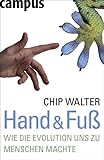 Hand & Fuß: Wie die Evolution uns zu Menschen machte