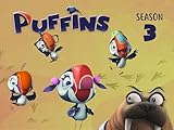 Clip: Puffins