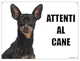 PINSCHER attenti al cane mod 1 TARGA cartello IN METALLO (15X20)