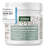 AniForte Polvere di cozze dalle Labbra Verdi per Cani e Gatti 250g - Polvere Naturale di cozze dalle Labbra Verdi in qualità di Grasso Completo, glicosaminoglicani, Supporta Le funzioni articolari