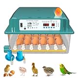 Auveach Incubatrice per Uova Automatica 35W Incubatrice per 36 Uova Gallina Giratura Automatica Controllo Automatico della Temperatura Vassoio Portauova Regolabile Design Elettrico Doppio