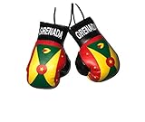 Grenada Mini Guanti da boxe