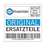 Distanziatore Piaggio Manicotto Parabrezza per Hexagon 270215