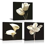 PIY PAINTING Stampe su Canvas Fiore Tulipano Bianco Calla Lily Immagine Quadro su Tela Pittura con Cornice Moderni Murale Fotografia Grafica para Sala Regalo di Anniversario 3X 30x30cm