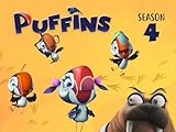 Clip: Puffins