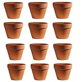 Molyorch 12 Pezzi vasi in Terracotta,Vaso Terracotta in Argilla Rosso, Piante Terracotta Piccolo Vaso, Argilla Set Vaso, per Matrimonio Compleanno Casa e Ufficio Decorativo