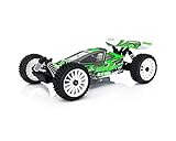 Hobbytech Buggy RC BX8SL RUNNER Verde ARTR