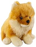 Carl Dick Peluche Cane di Pomerania, Spitz tedesco, 25cm, 3557