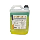 SGRASS 2 DA 5 KG MULTIUSO BI COMPONENTE SGRASSANTE LAVA MOTORI OFFICINE LAVAGGIO