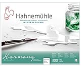 Hahnemühle Harmony - Cartone per acquerelli, satinato, 300 g/m², 24 x 30 cm, 12 fogli