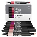 Winsor & Newton ProMarker Colori Rossi - Set di 6 Pennarelli Assortiti