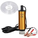 flintronic Pompa Acqua e Diesel con 5m Tubo Trasparente, 12V 51mm Pompa Sommersa Elettrica Pompa Combustibile con Filtro Rimovibile Diesel per Auto, Caravan, Barca-Oro