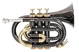 Roy Benson Bb pocket trumpet PT-101K (campana in ottone di precisione, leadpipe in ottone dorato, tromba tascabile di qualità, inclusa custodia protettiva rettangolare), Antracite