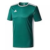 adidas Entrada 18 Jersey Adulto, Maglietta Uomo, Verde, XL