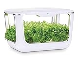 Serra idroponica Green Farm, sistema coltivazione idroponico per erbe aromatiche, piante, fiori con lampada LED, incluso kit soluzioni nutritive e semi, crea il tuo orto in casa, 60x37,5x42,5cm