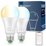 DUSKTEC Lampadine LED Alexa E27 12W (Equivalenti a 120W), Lampadina E27 A60 Smart Bluetooth, Dimmerabile 2700K-6000K Luce Bianco Caldo Fredda 1300 Lumen, App Controllato, 2 Pezzis