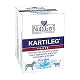 Nutrigen - Kartileg Forte HE