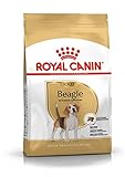 ROYAL CANIN Dog Food Beagle Adulto 3 kg