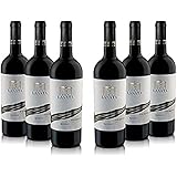 Villa Lanata - Vino Rosso - Piemonte Doc Rosso - Pacco Da 6 X 750Ml