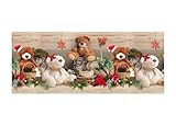 BIANCHERIAWEB Tappeto Natale Passatoia Cucina Antiscivolo Sottolavello Digitale Teddy Noel 50x140 Teddy Noel