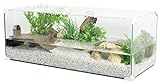 Zolux Acquario Tartaruga-AQUATERRARIUM per Tartaruga d acqua 100 CM