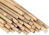 Canne di Bambù Resistenti e Naturali - Canne Bamboo per orto, pomodori, sostegno ortaggi - Bambu da esterno - arredamento (10, h.120cm / Ø20-22mm)
