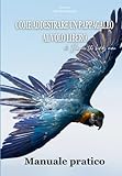 Come addestrare un pappagallo al volo libero: manuale pratico