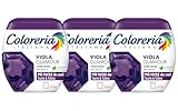 Coloreria Italiana Grey Colorante Tessuti e Vestiti in Lavatrice, Viola, 3 Confezioni da 350g