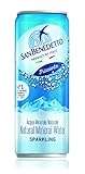 San Benedetto Acqua Minerale Frizzante Lattina 0,33 L - Conf. x 24