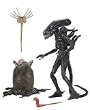 ALIENS 40TH ANNIVERSARY BIG CHAP ULTIMATE 7IN ACTION FIGURE