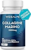 COLLAGENE MARINO con Acido ialuronico - 240 Capsule - 2500mg di Collagene idrolizzato, Integratore con Biotina, Vitamina C, Coenzima Q10 per Pelle, Capelli e Articolazioni