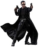 Hot Toys ACTIONFIGUREMANIA Matrix Neo