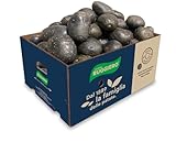 Patate RUGGIERO Viola per "PIATTI GOURMET" 10 kg