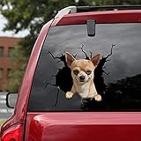 Decalcomanie auto malvagio Chihuahua, adesivi da parete realistici per auto, SUV vetri per finestre, adatti per auto, notebook, frigoriferi, pareti e altre superfici lisce.