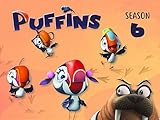 Clip: Puffins