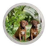 Dogue De Bordeaux - Pomello in vetro per armadietti, porte, armadi, armadi