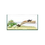 ICA - Reptiselva Isla 40, Kit tartarughiera, 1000 g