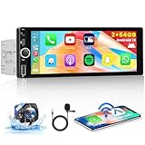 2GB+64GB Android 13 Autoradio 1 Din Senza Fili Carplay Android Auto, 6,9 Pollici GPS Schermo Auto Stereo con Bluetooth Mirror Link WIFI FM/RDS/USB/DVR/SWC+Telecamera Posteriore