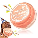 Giocattolo per Cani con Suono - Torta di Compleanno Regalo per Cani di Piccola, Media e Grande Taglia, Cuccioli Interattivi, Giochi di Addestramento in Gabbia, Dog Enduring Toy Dogs Indestructible