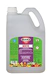 Bioki Aceto Concentrato Naturale Tanica per Agricoltura Bio