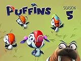 Clip: Puffins