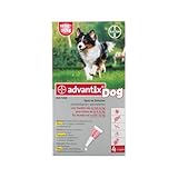 Advantix Cane Medio, 10-25 kg, 4 Pipette