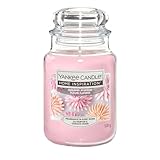 YANKEE CANDLE Barattolo grande Sugar Blossom